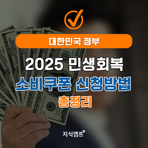 2025 민생회복 소비쿠폰 신청방법 총정리