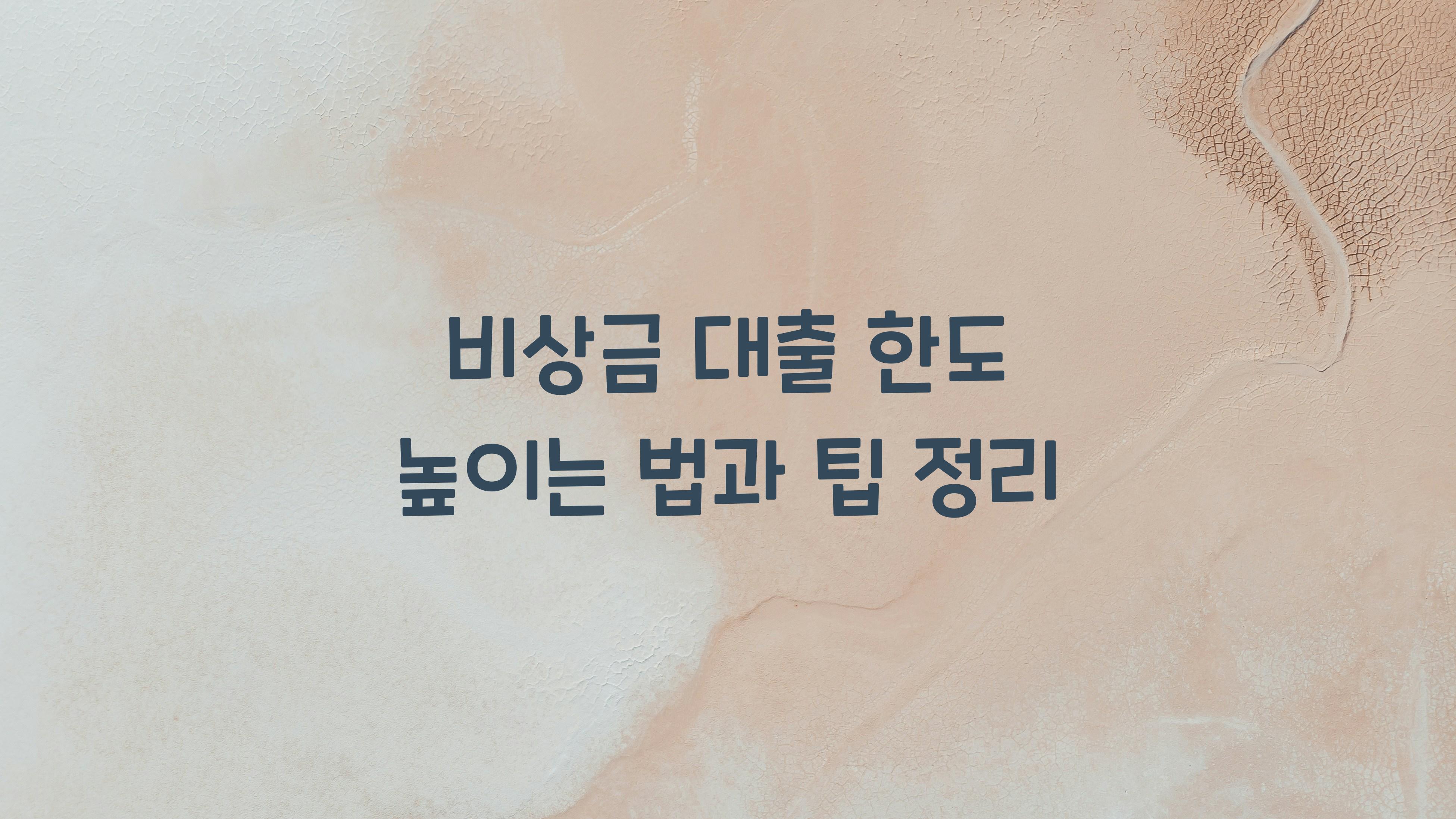 비상금 대출 한도 높이는 법