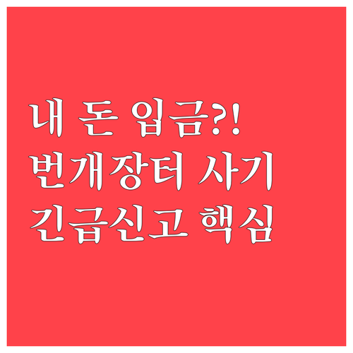 번개장터 사기 피해 발생 시 긴급 신..