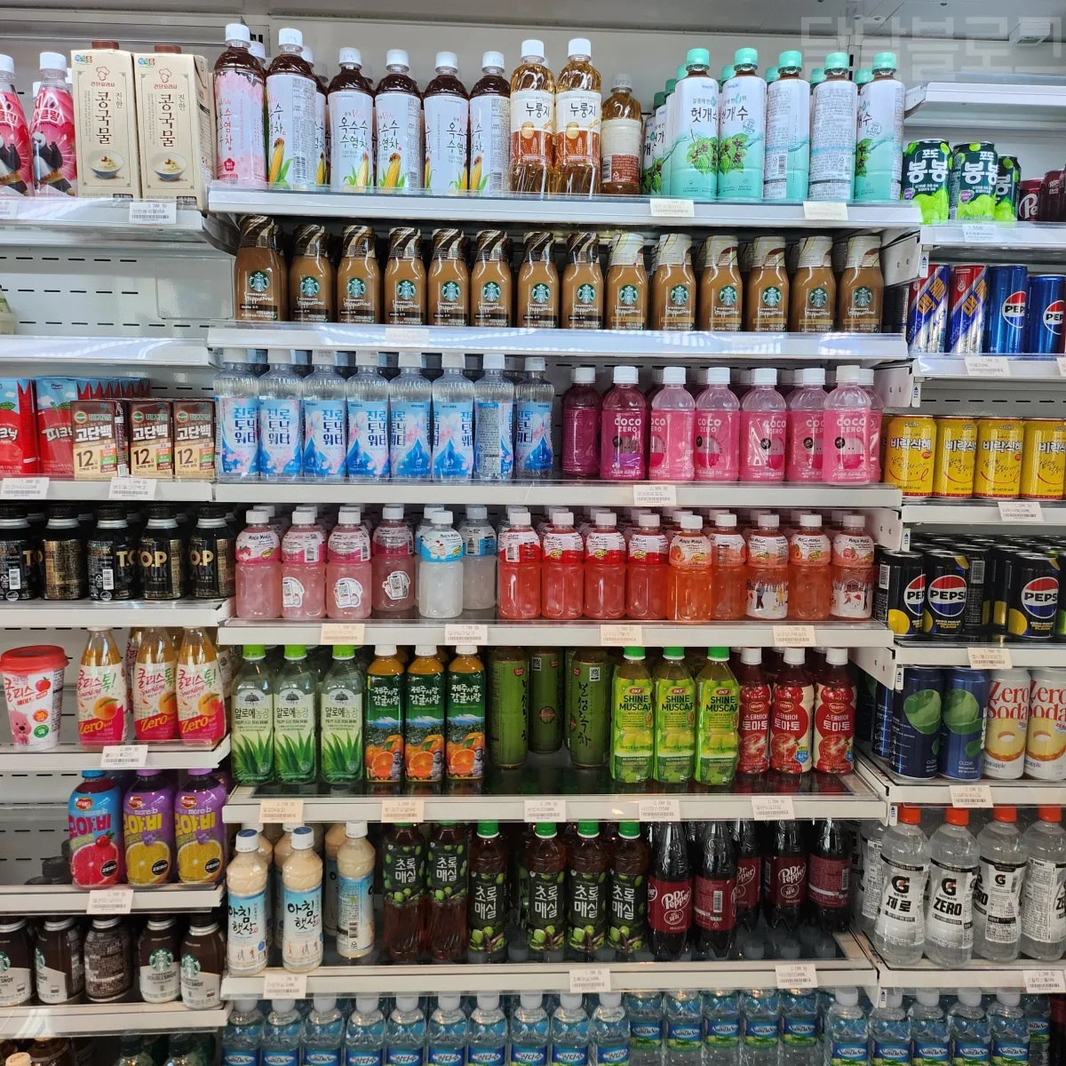 정선-파크로쉬-편의점-음료수