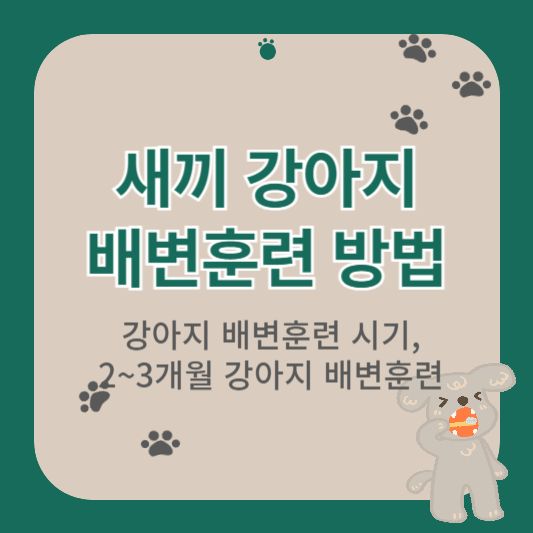 새끼강아지 배변훈련