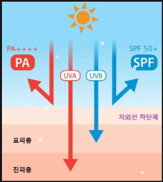 올리브영 추천 선크림