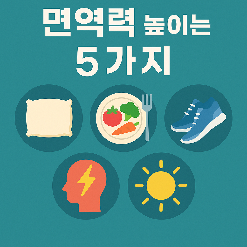 면역력을 높이는 방법 5가지