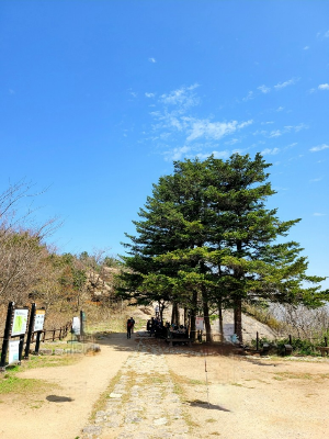 속리산