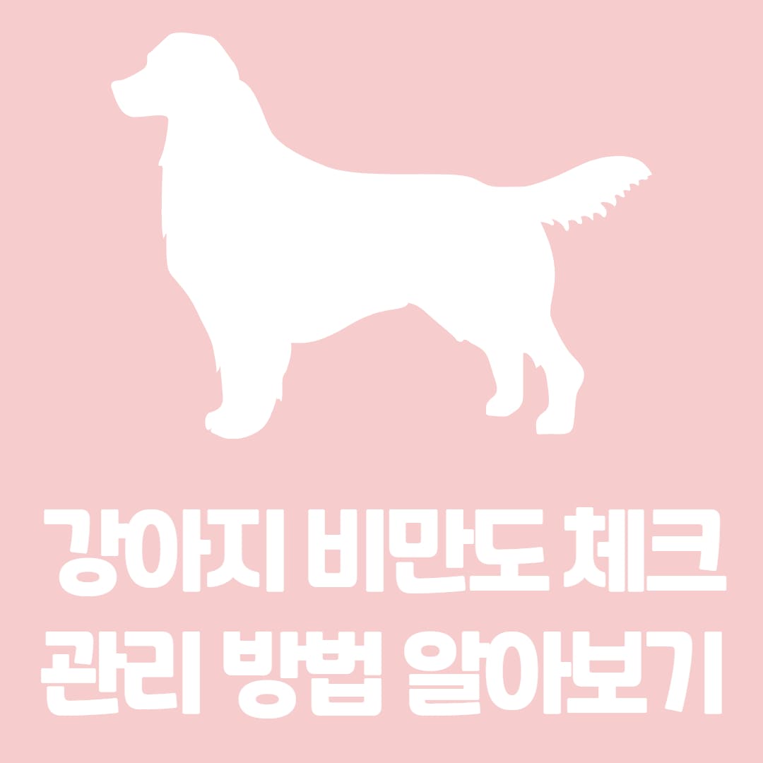 강아지 비만 확인 방법과 대표적인 질병, 비만 관리 방법