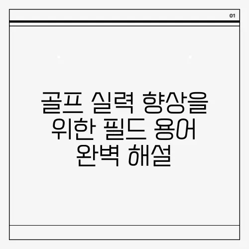 골프 실력 향상을 위한 필드 용어 완벽 해설