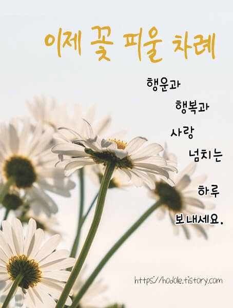 행운