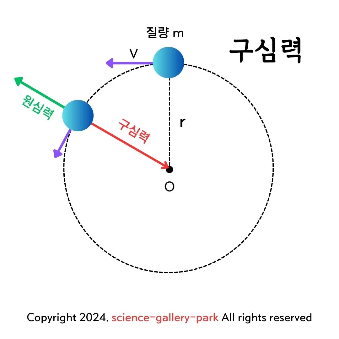 구심력
