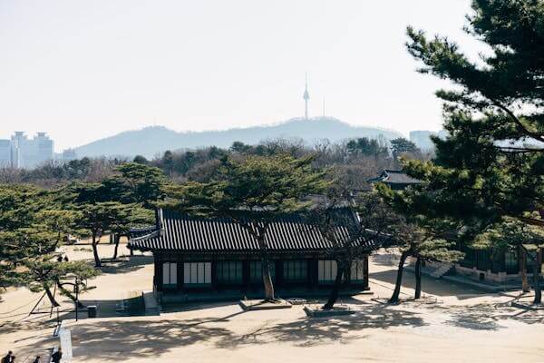 경복궁 야간개장 예약방법 /하반기 야간관람/무료관람 꿀팁