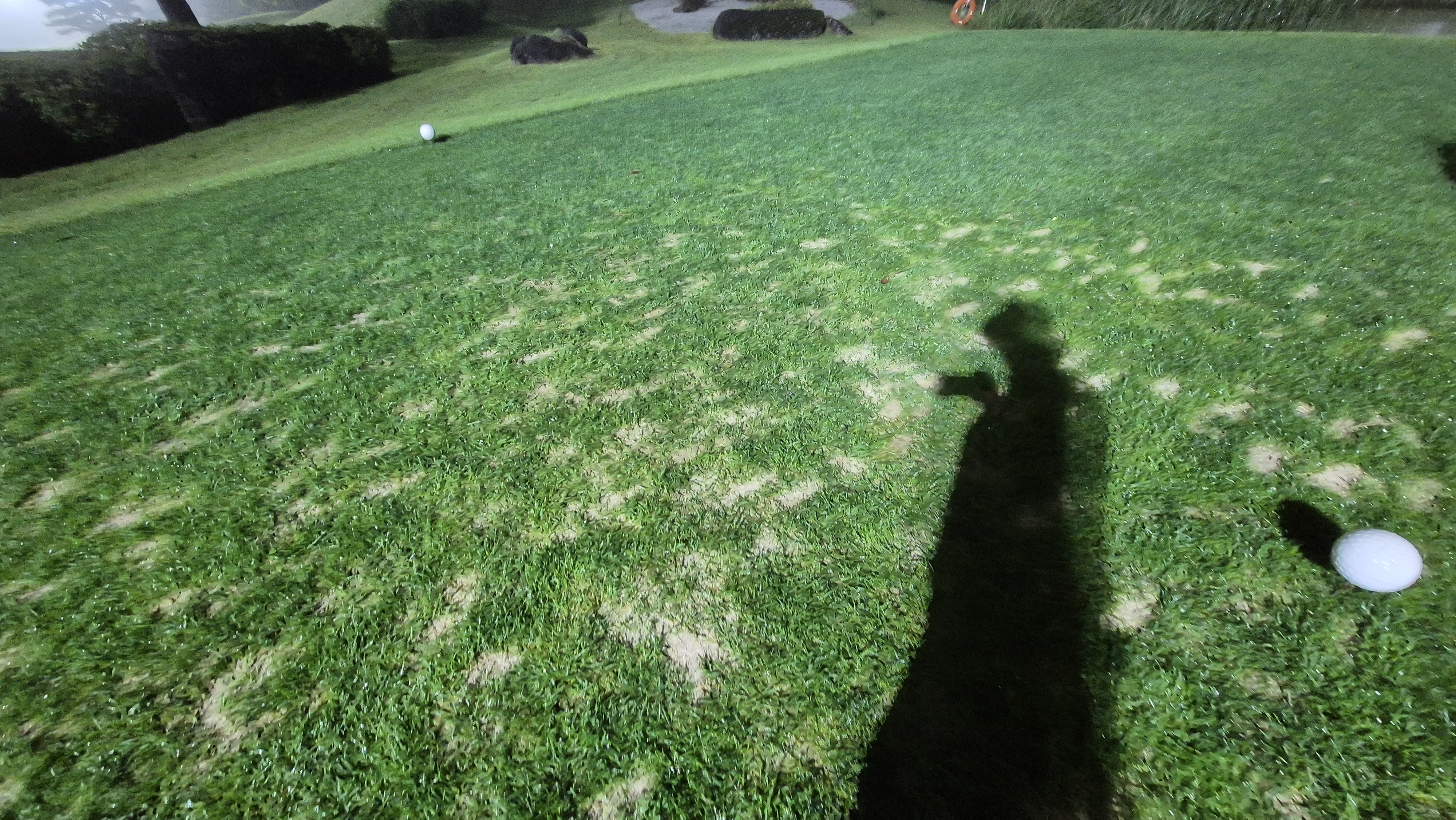 블루원용인cc 티잉구역상태