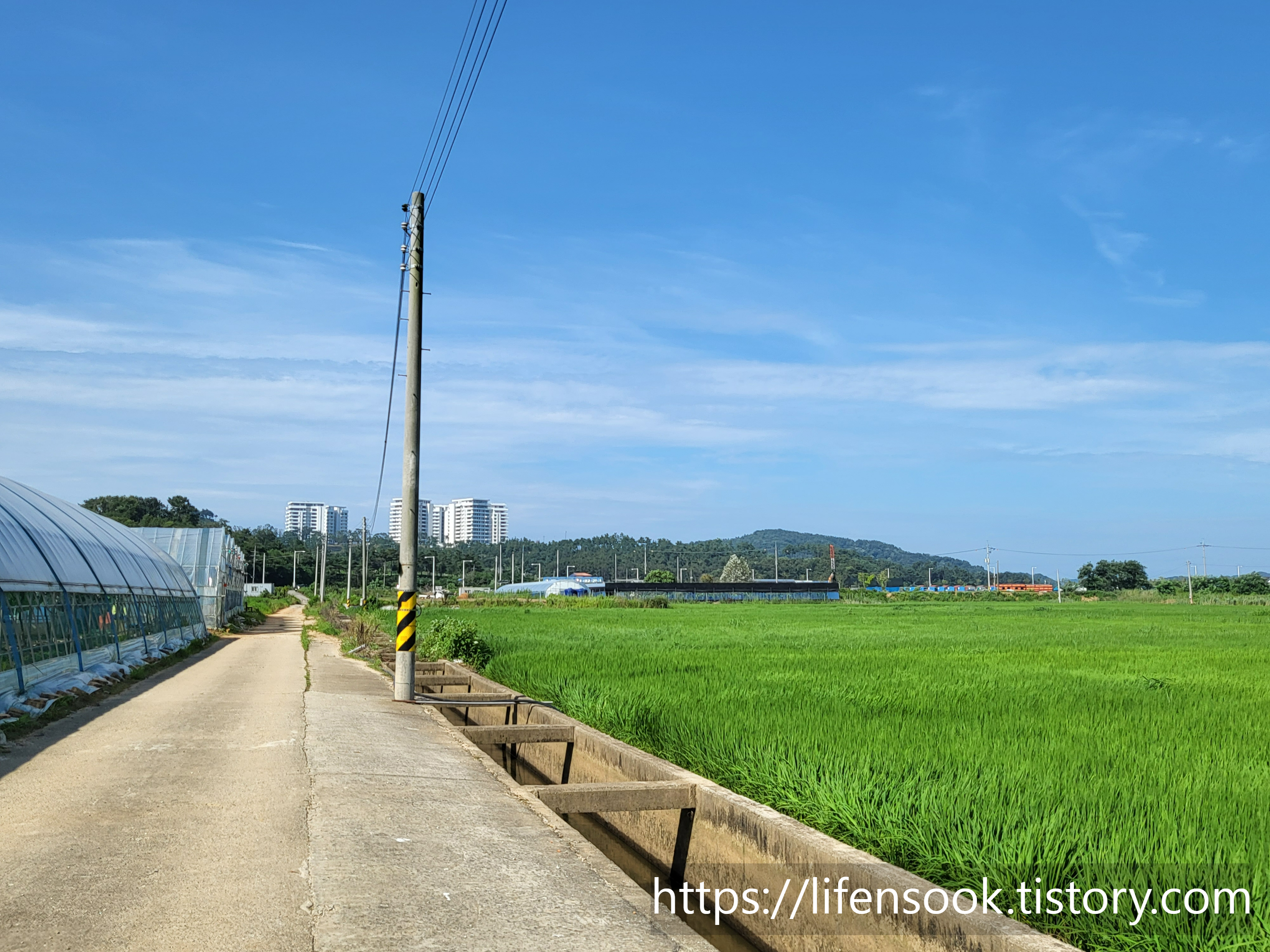 대부해솔길 3코스 시점으로 가는 길 1