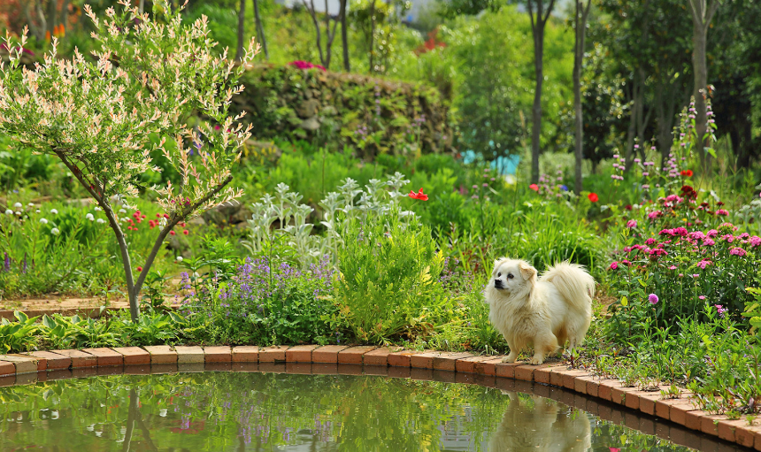 특색있고 아름다운 민간 정원 30선 추천 여행 - 10. 남해 섬이정원