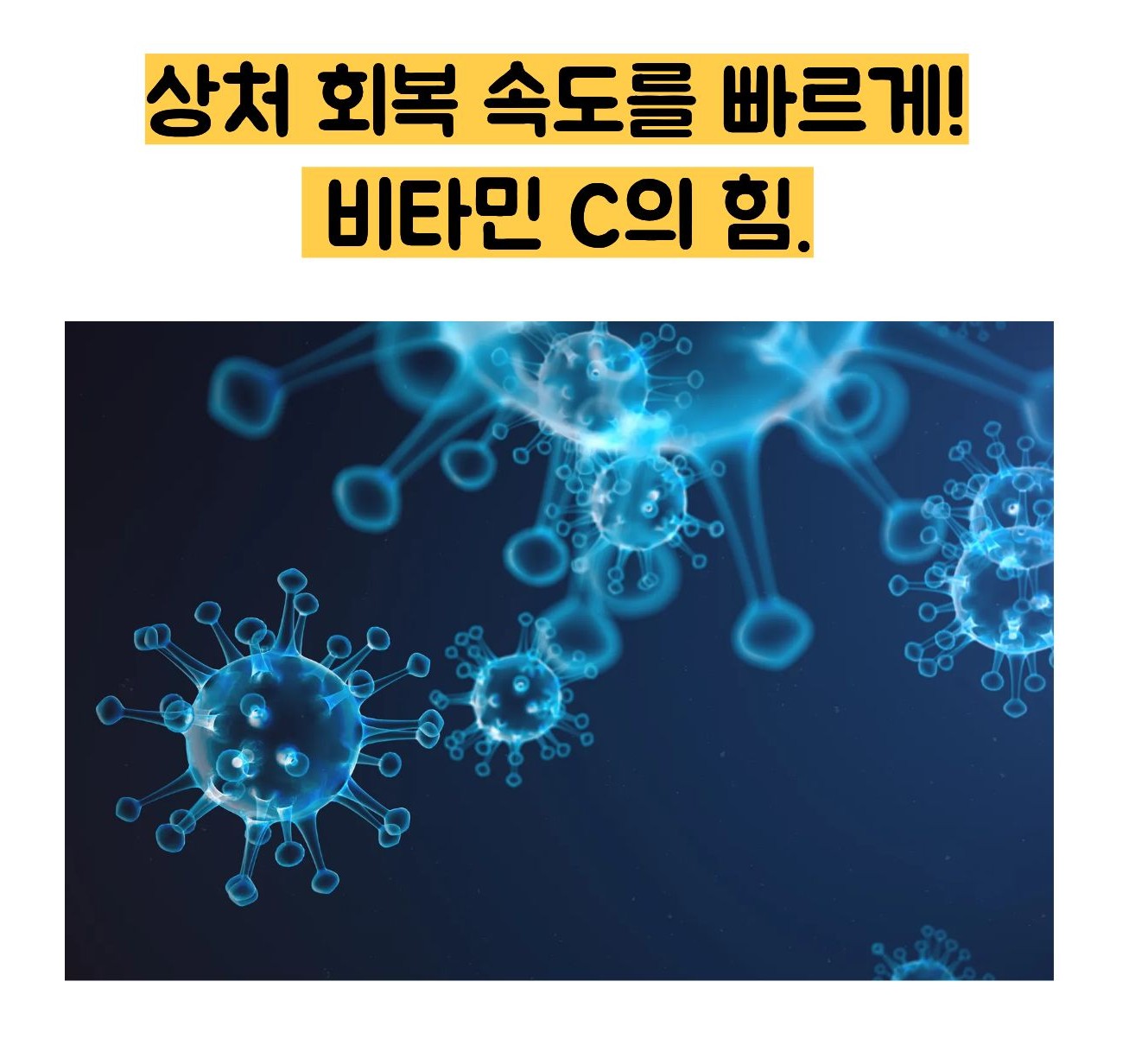 메가도스 효능