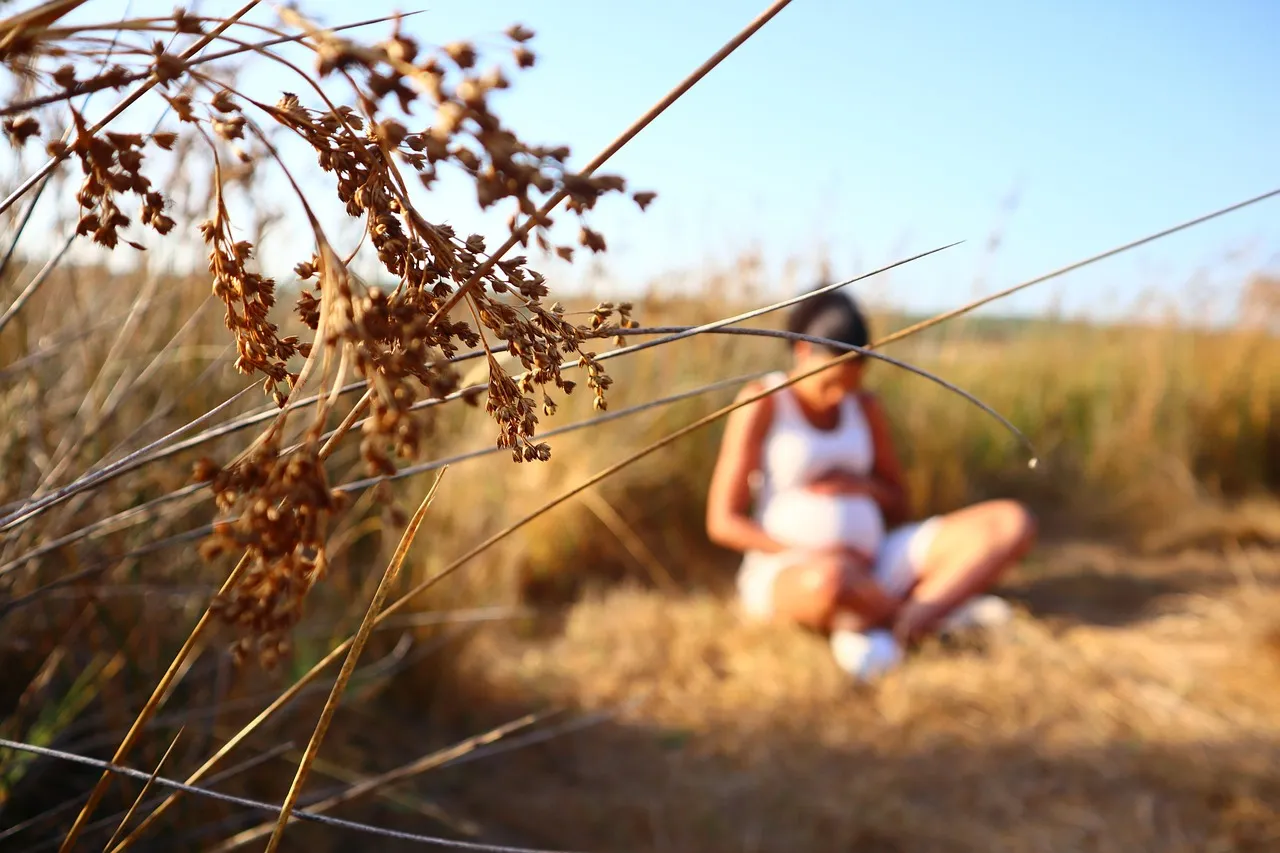 아이돌봄서비스 신청방법