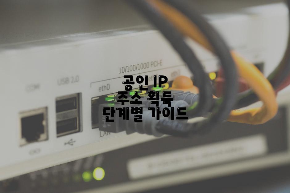 공인 IP 주소 획득 단계별 가이드