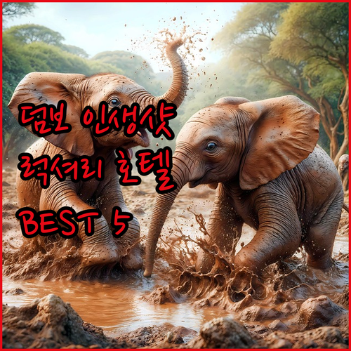 뉴욕 덤보 인생샷 스팟과 근처 럭셔리..