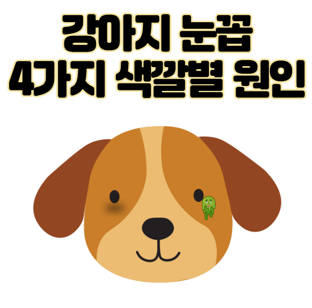 강아지 눈꼽 4가지 색깔별 원인 및 관리 방법