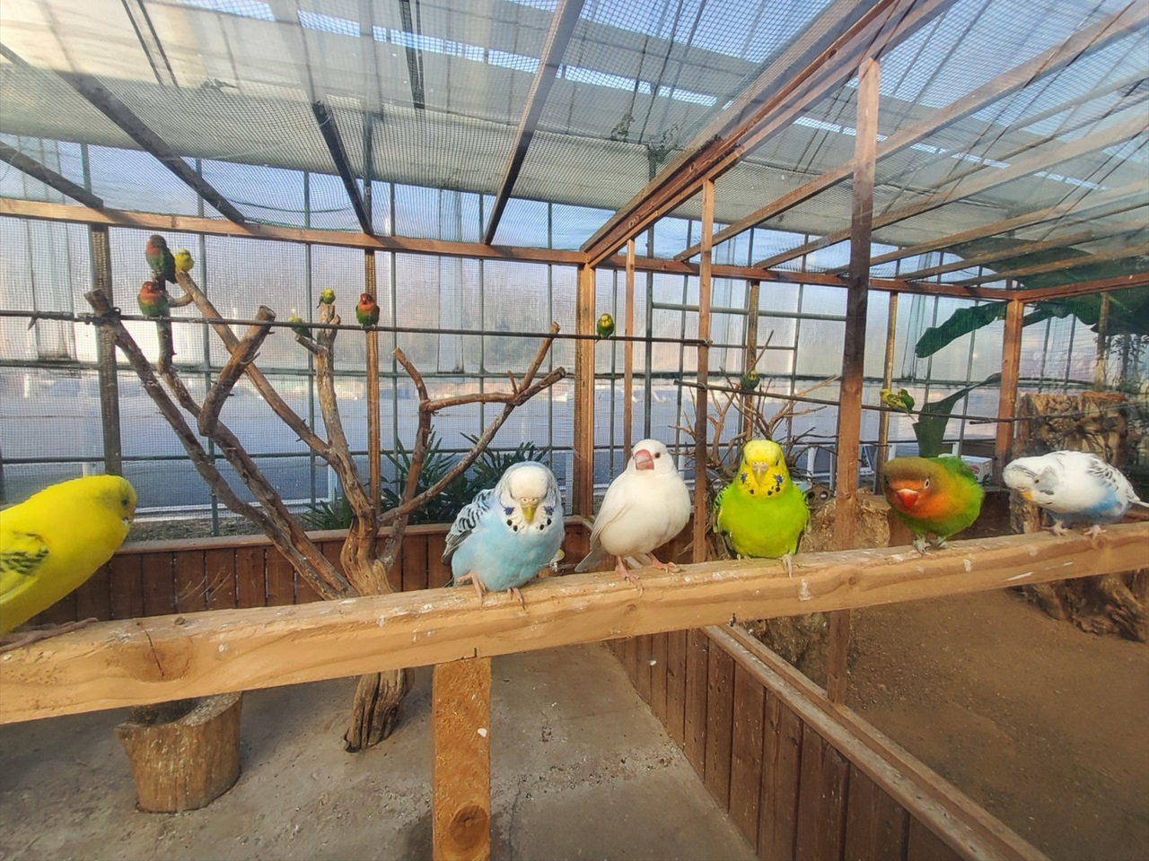 동천자연식물원