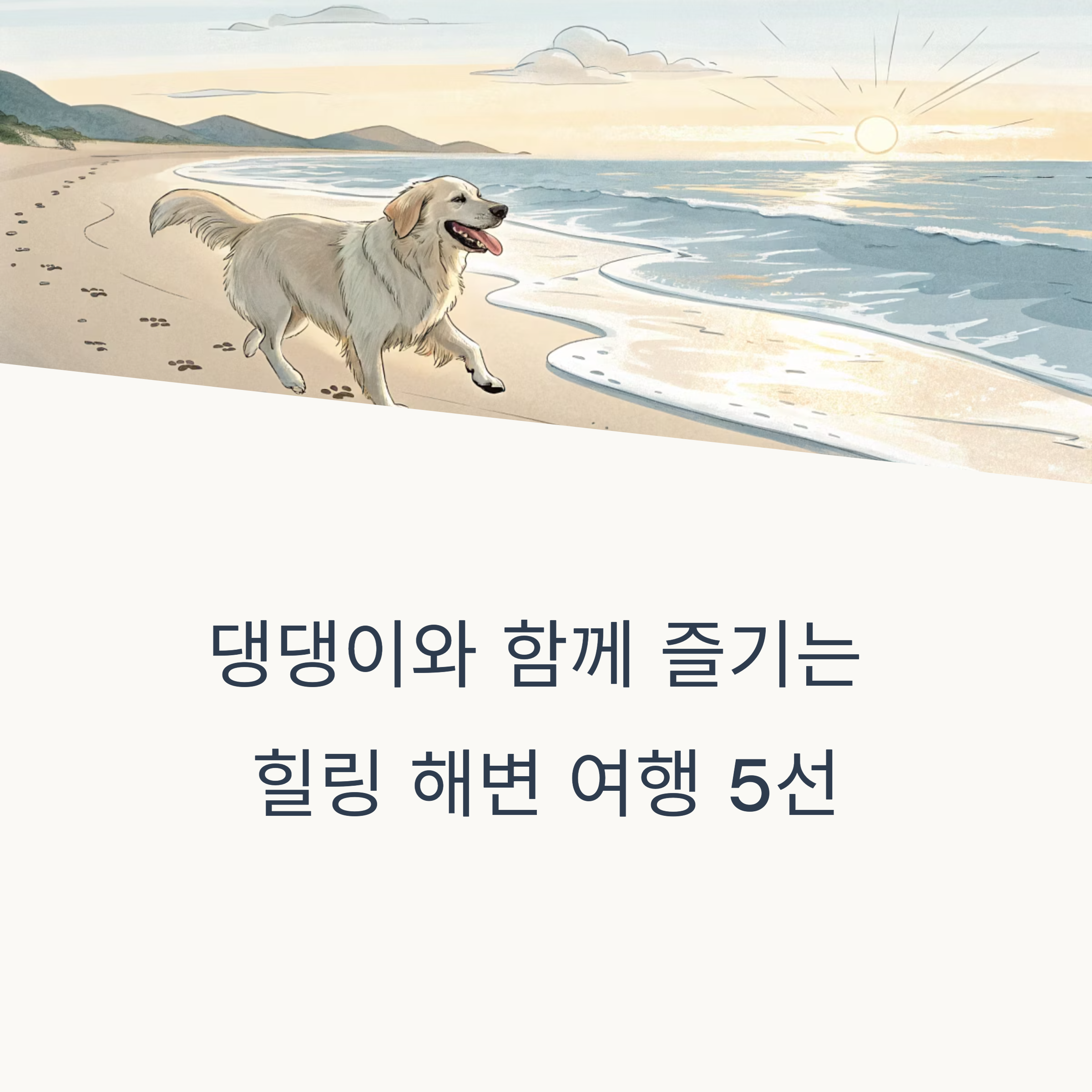 반려견과 함께 가기 좋은 국내 해변 여행지 5곳