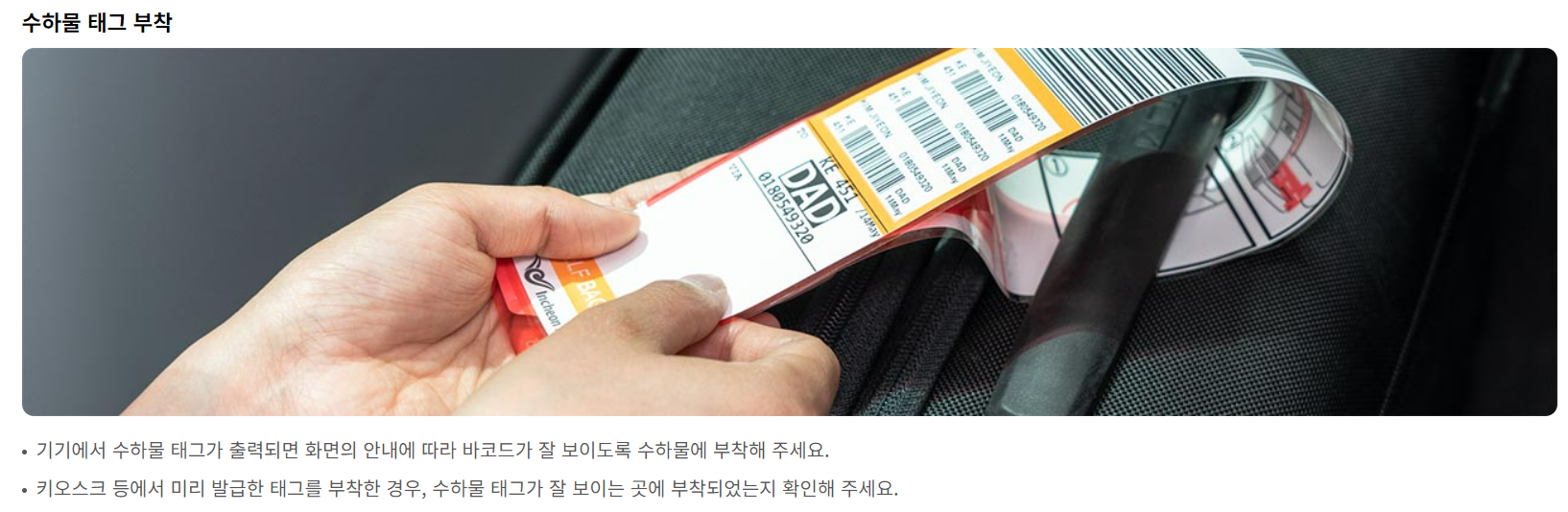 대한항공 체크인 셀프백드랍 이용 방법