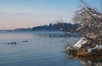 새희망홀씨대출 조건 쉽게 정리 10
