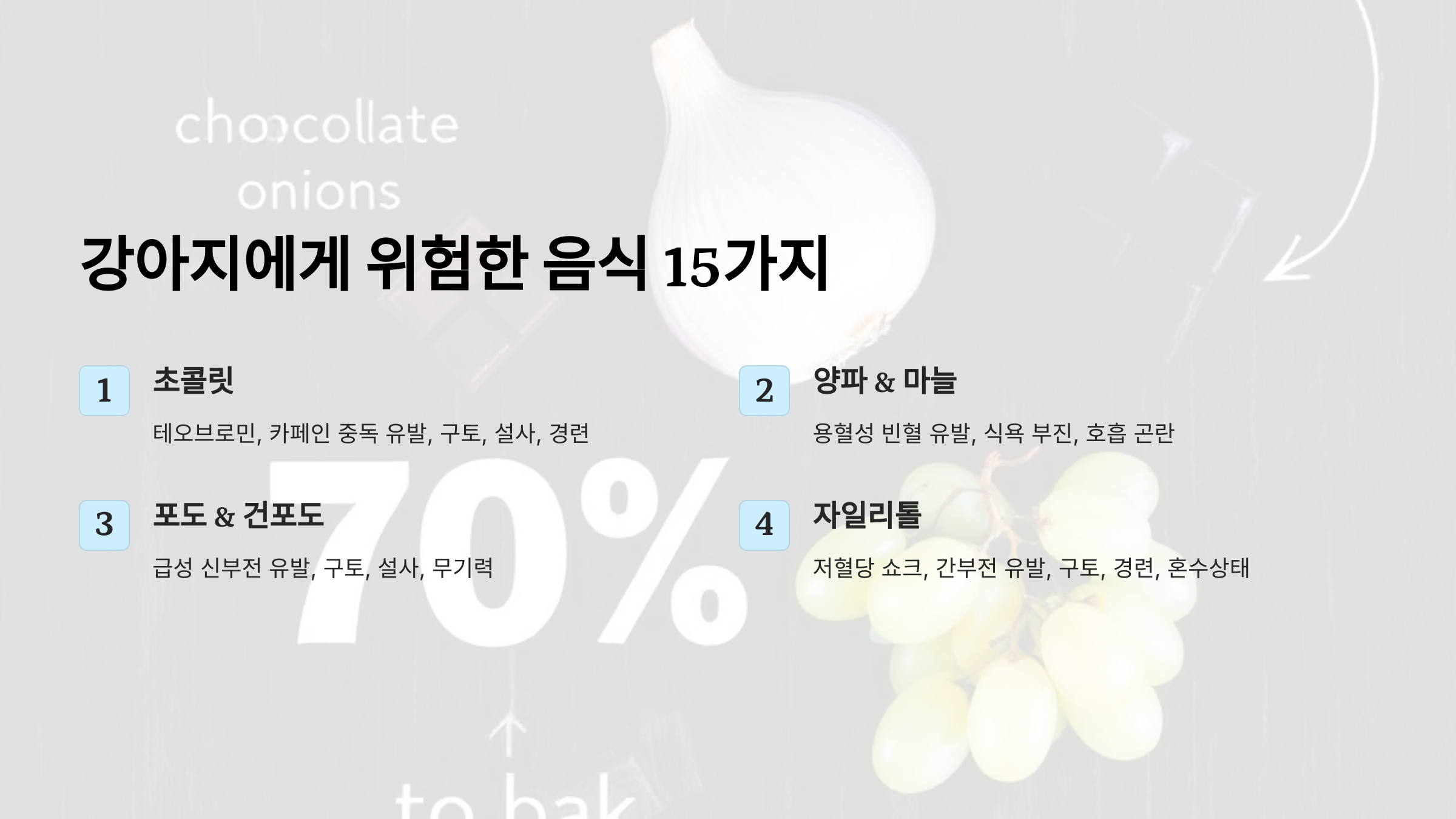 강아지가 먹으면 안 되는 음식 15가지! 반드시 피해야 할 위험 식품