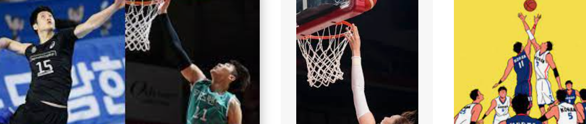 농구 배구 겨울 스포츠 인 이유