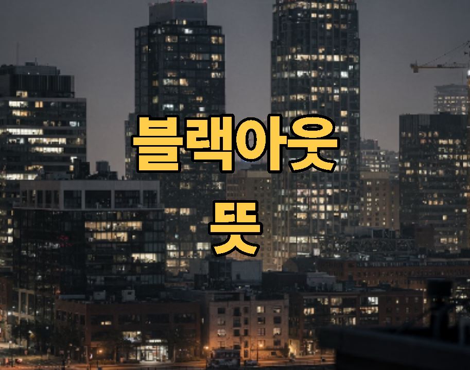 블랙아웃 뜻