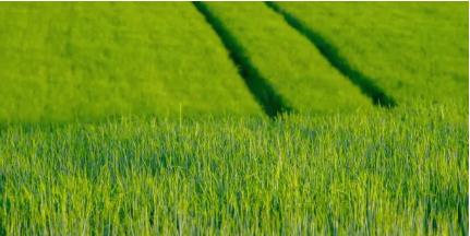 5월 국내여행지 베스트 10