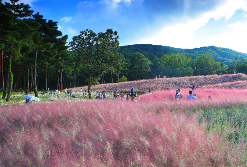 칠곡-가산수피아