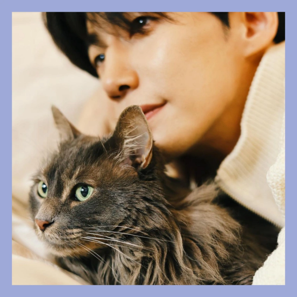 송재림-사망-원인-유서