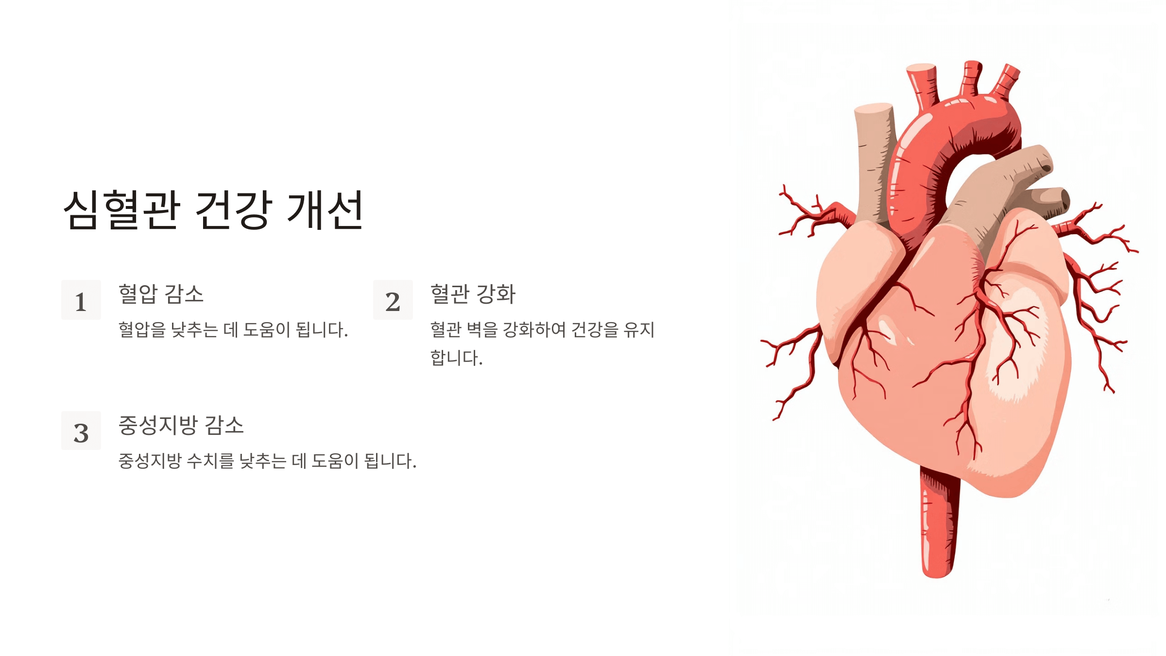 식물성오메가3와 관련된 사진입니다.