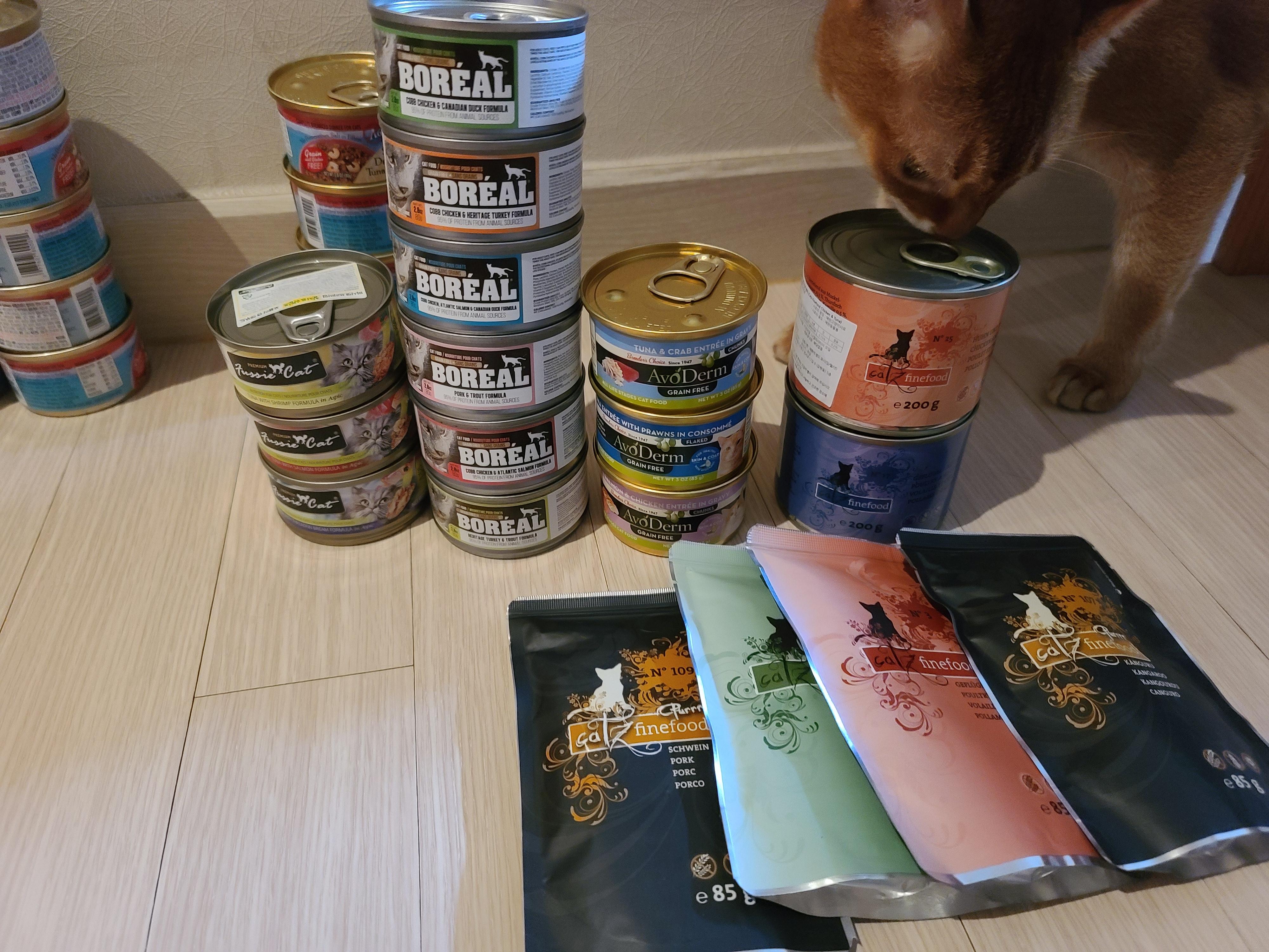 다다를 위한 테스트 캔&파우치들...