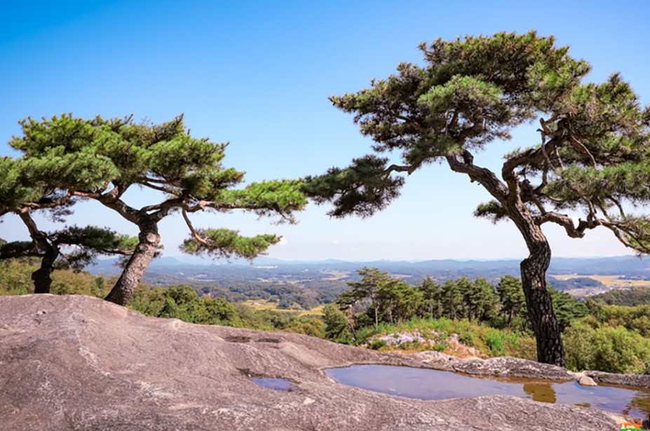 경북-봉천사-일출구경-스팟