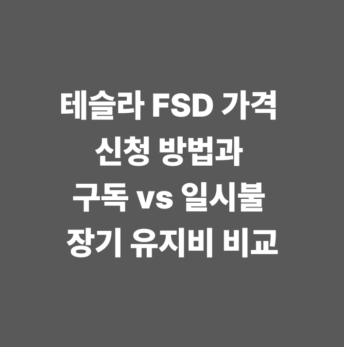 테슬라 FSD 가격 신청 방법과 구독 vs 일시불 장기 유지비 비교