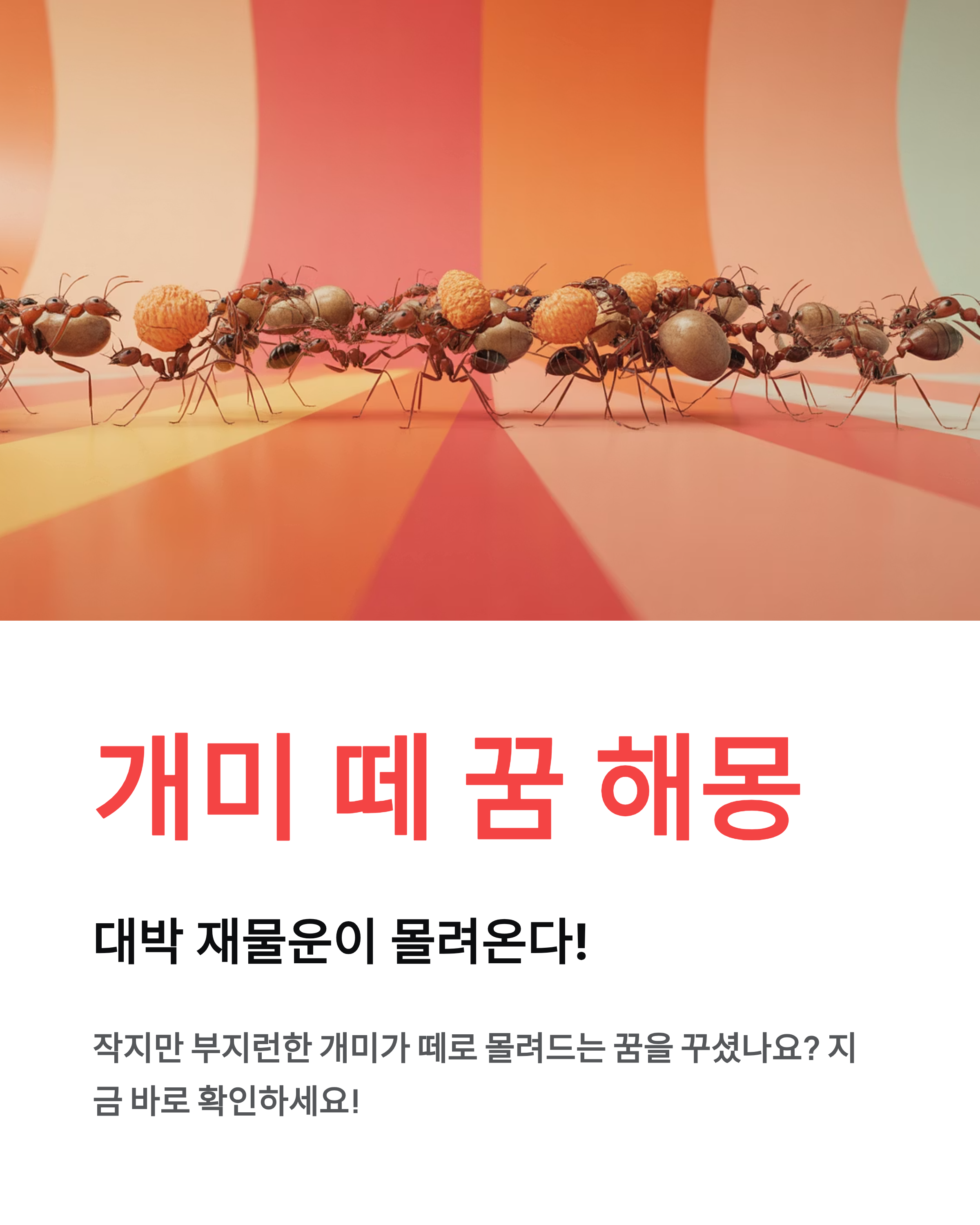 개미꿈 해몽, **개미 떼**가 몰려드는 꿈은 대박 징조? 재물운 핵심 정리!