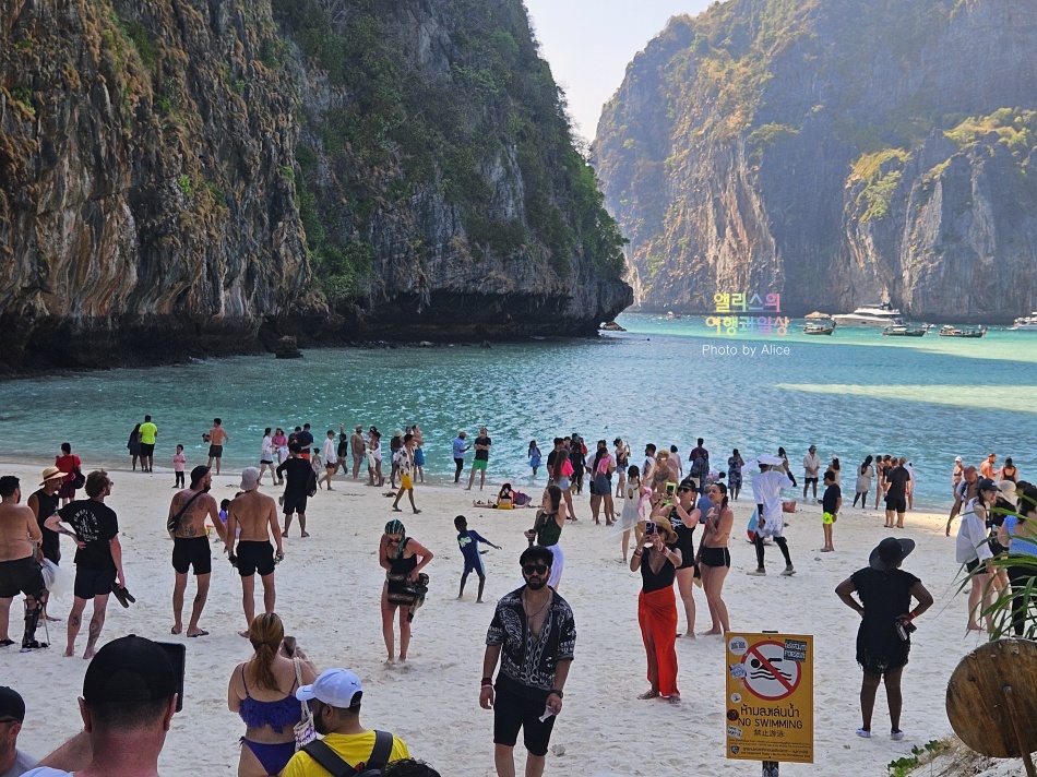 푸켓 스노클링, 피피섬 마야섬 몽키 비치 카이섬 투어 리뷰 코스 가격