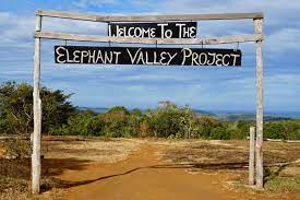 Elephant_Valley_Project