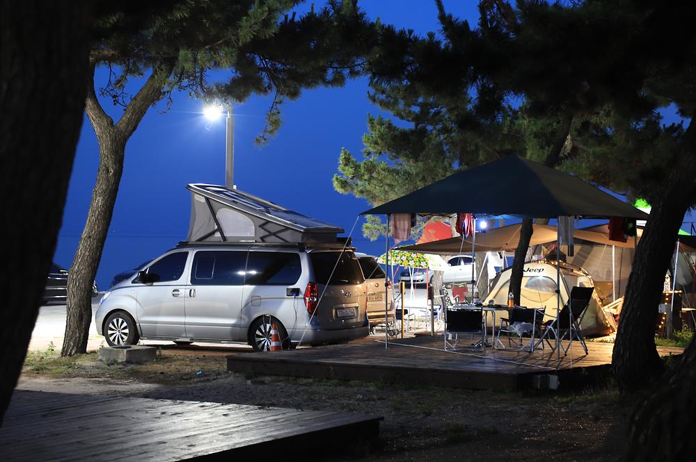 솔향기캠핑장

주소 강원 강릉시 연곡면 해안로 1282-10