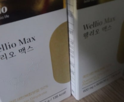 웰리오맥스-후기