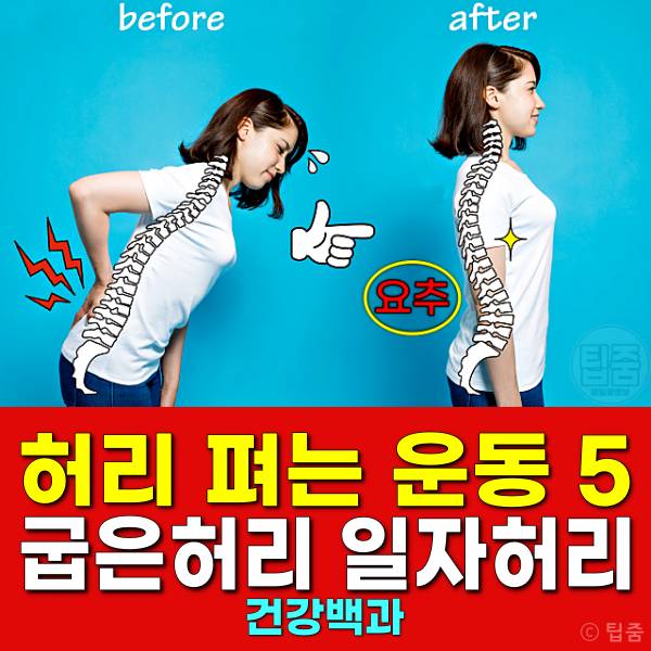 허리 펴는 운동 일자허리 굽은 허리에좋은운동