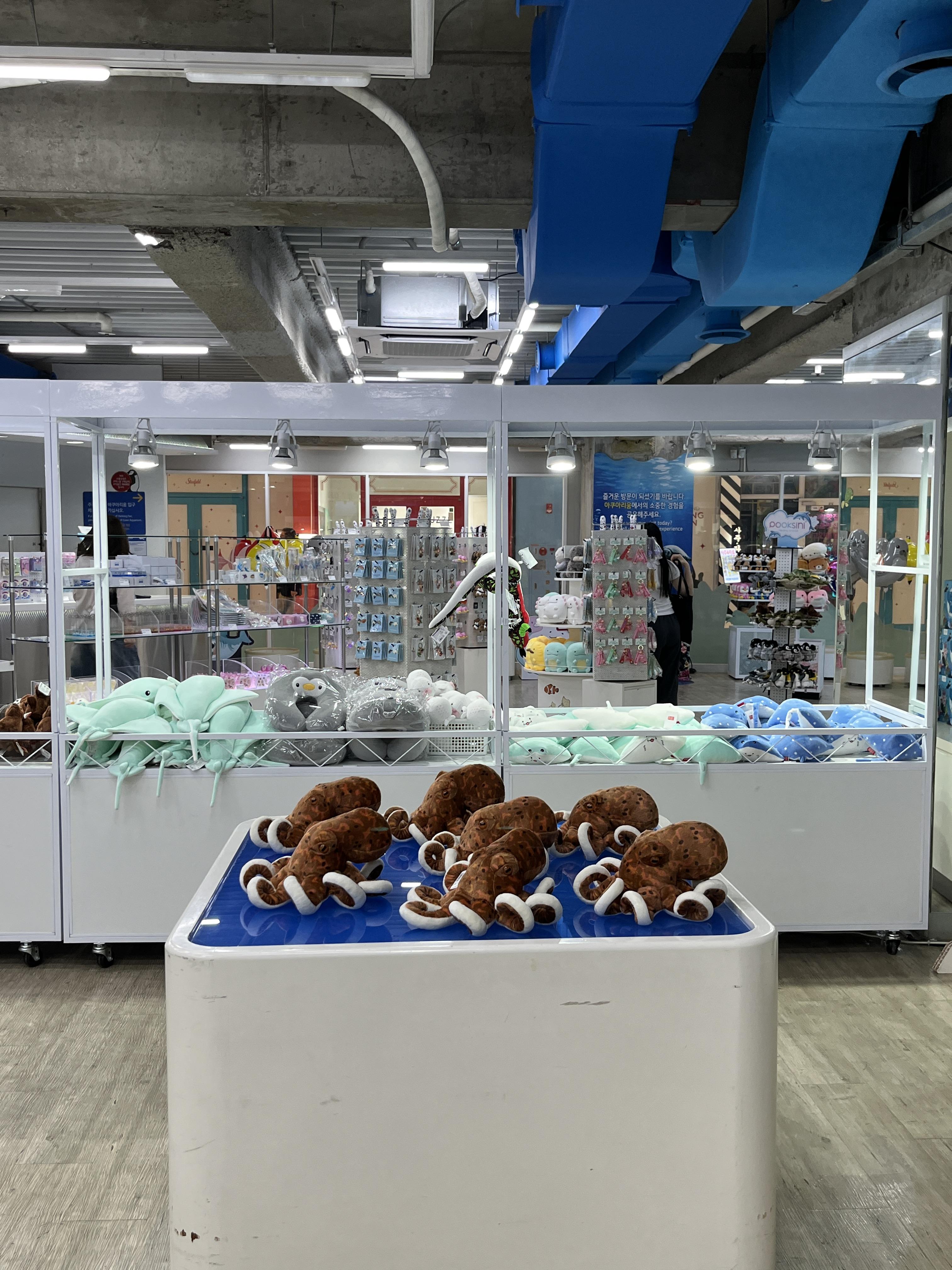 코엑스 아쿠아리움 동물의숲