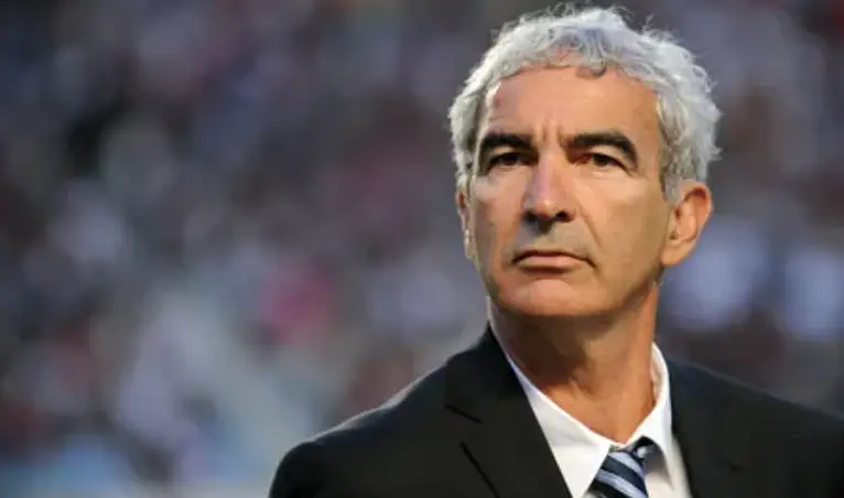 클린스만-축구경기장을 배경으로 검은정장 흰셔츠 넥타이를 멘 흰머리리의 레이몬드 도메네크