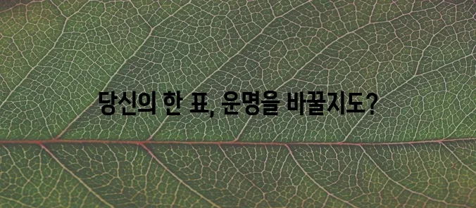 내일은 국민가수 투표 꼭 참여해야겠죠!