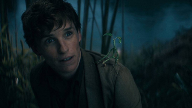 신비한 동물들과 덤블도어의 비밀