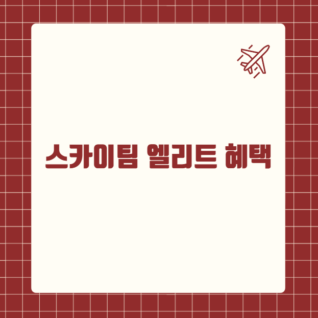 스카이팀 엘리트 혜택
