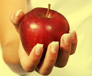 사과 영양성분 및 사과 칼로리