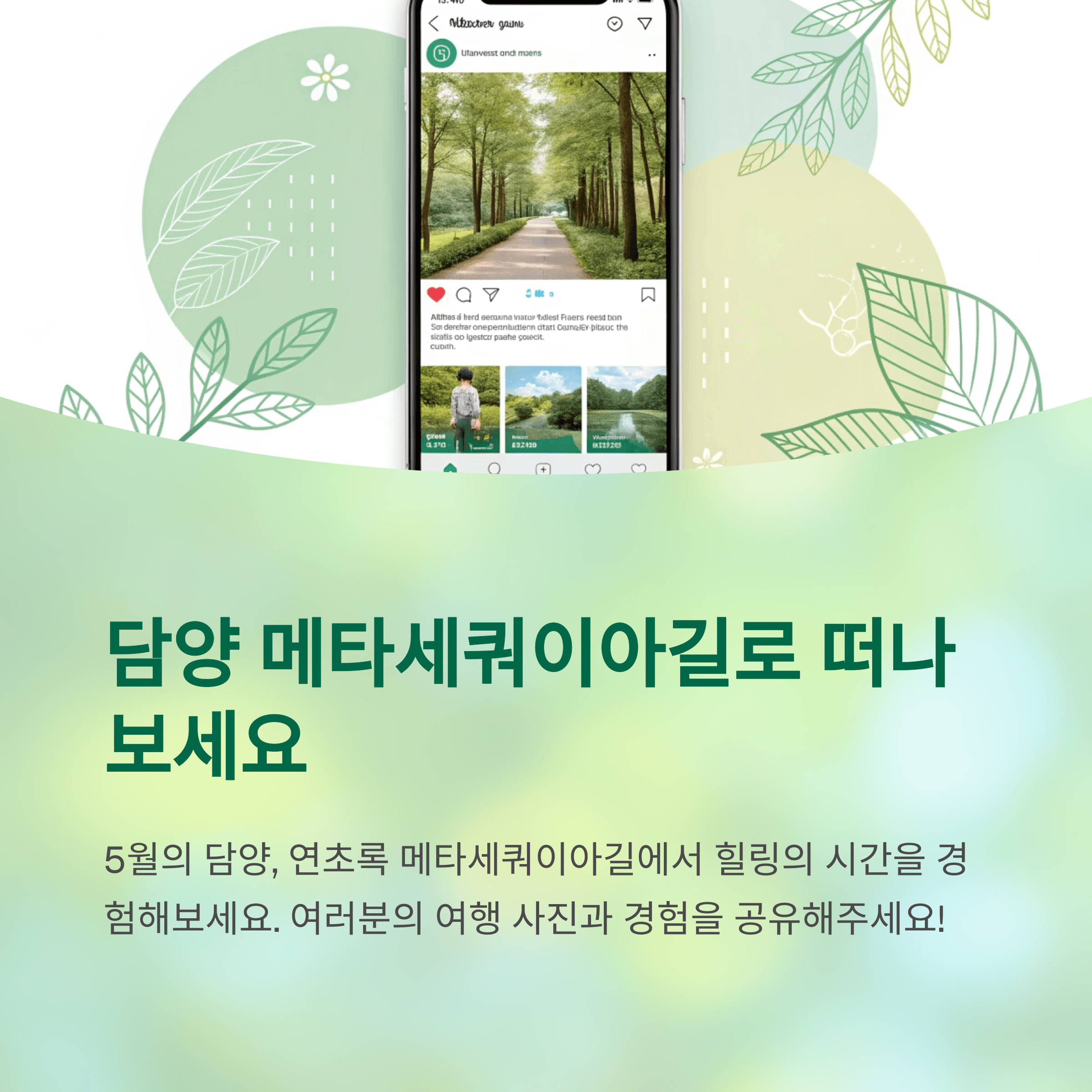 담양 메타세쿼이아길, 걷기 좋은 계절 지금이 찬스