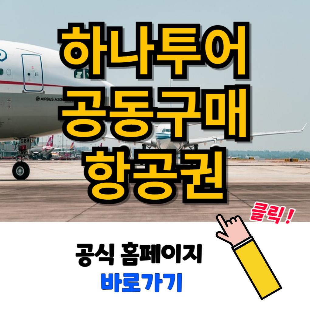 하나투어 공동구매 항공권