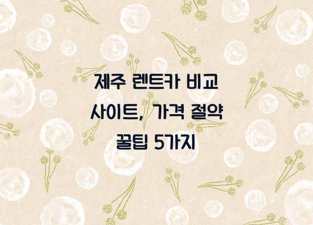 제주 렌트카 비교 사이트